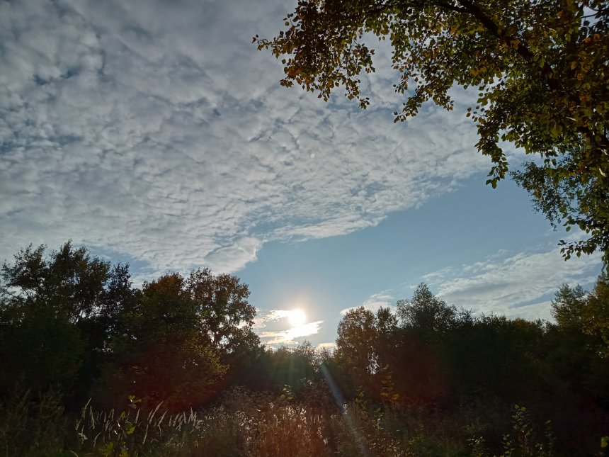 Осень. Начало - Софья