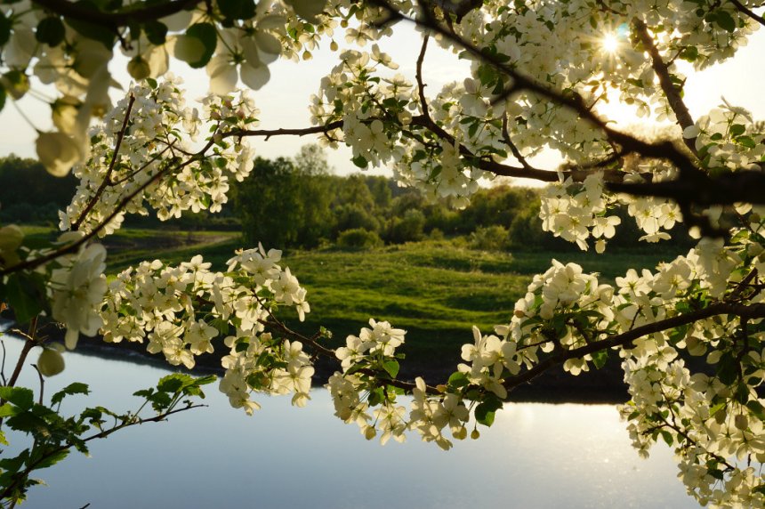 Весна - Надежда