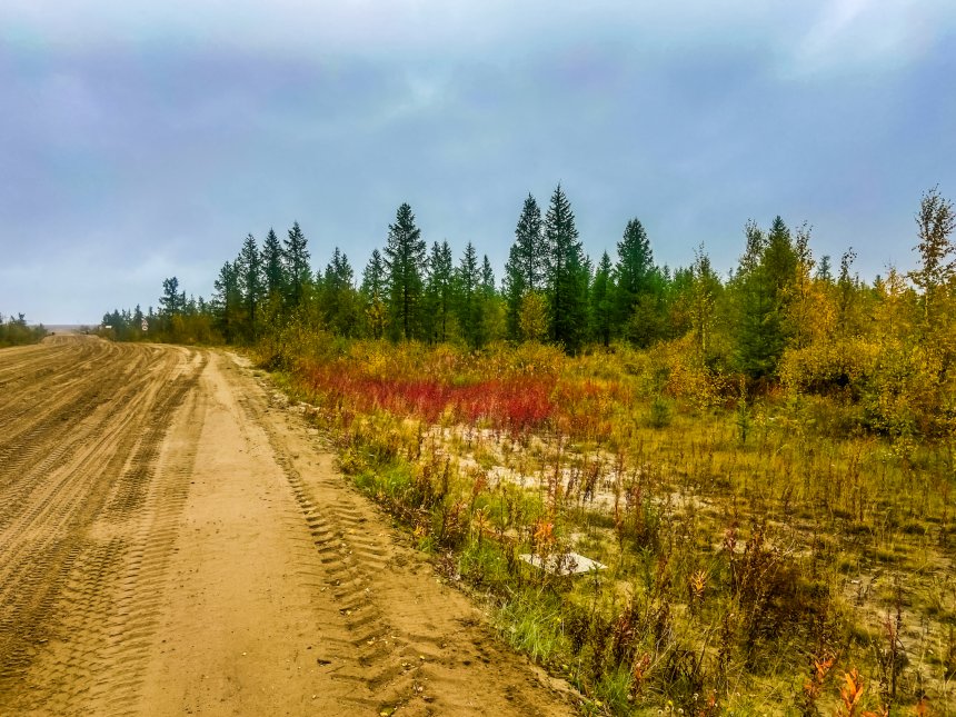 Нежданное приключение - Григорий Филин (1/7)