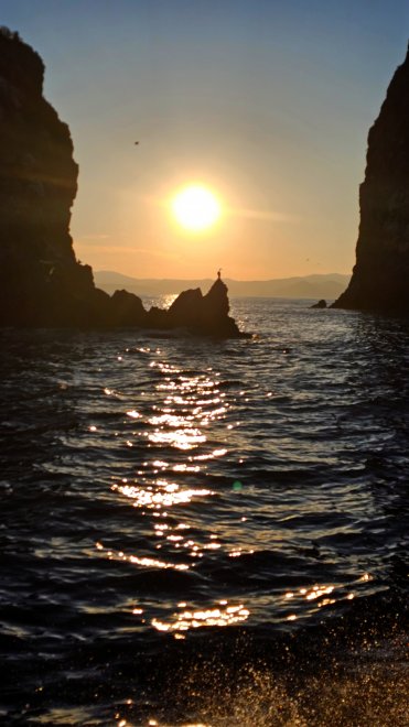 Баклан встречает закат -  