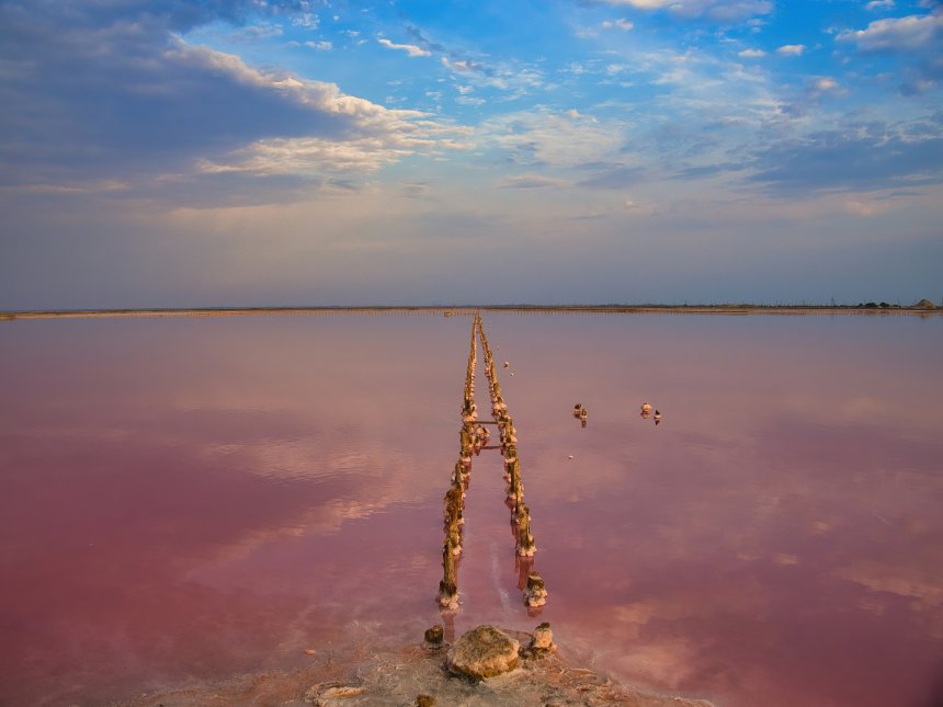 розовое озеро - Алексей