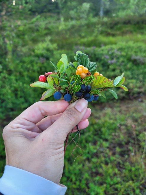 Тёплый Север -   (1/8)