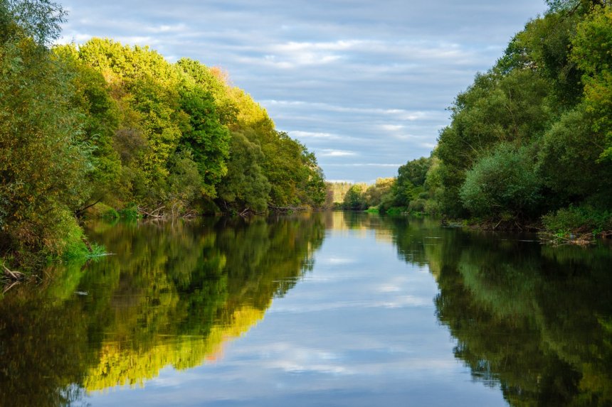 Осеннее отражение - Галина Ложечникова