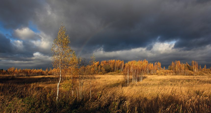 Милые сердцу родные просторы. -  