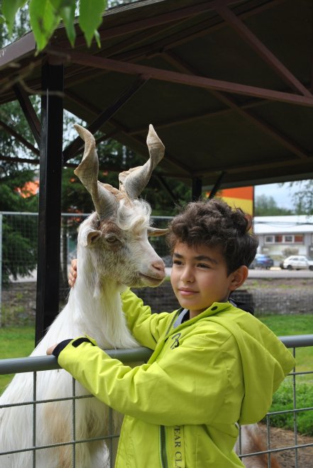 Карелия -   (1/8)