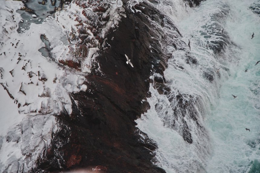 Чайка на краю света - Алла Кучерявая