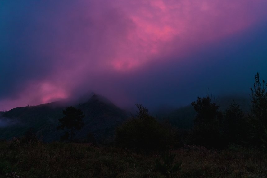Туманный рассвет - Наталья Сташкевич