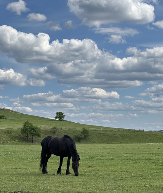 Безмятежность - Марина