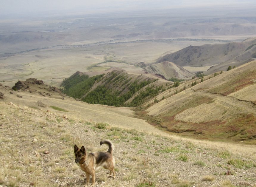 Горы Алтая -   (1/4)