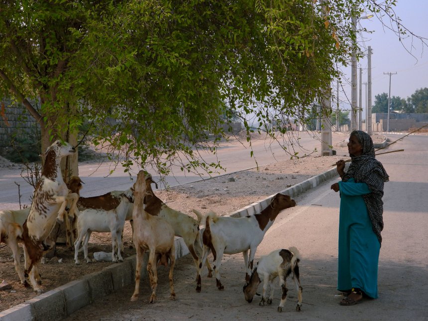 Человеческий труд. - Гульнас Бадретдинова (1/6)