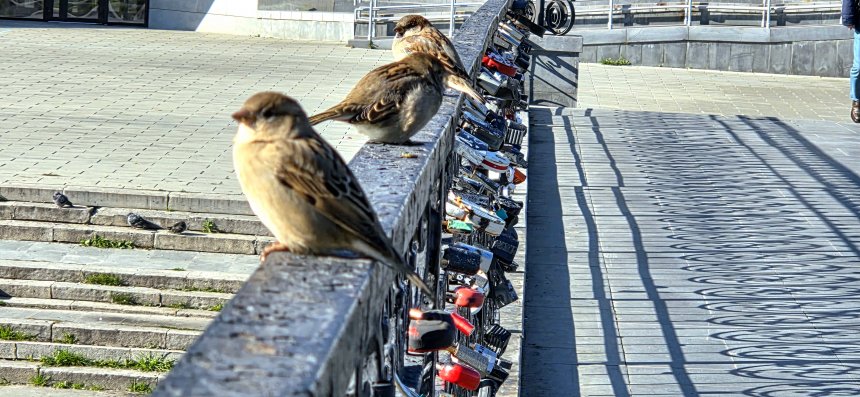 Последние солнечные деньки - Кирилл