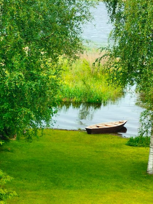 Берег озера -  