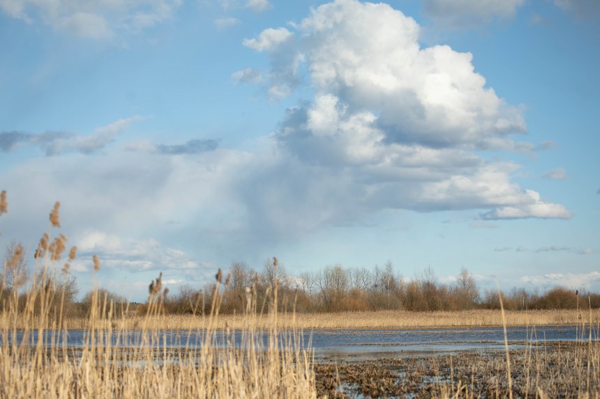 Пробуждение природы в Подмосковье - Татьяна (1/8)