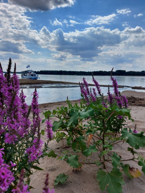 Причал у берега - Наталья