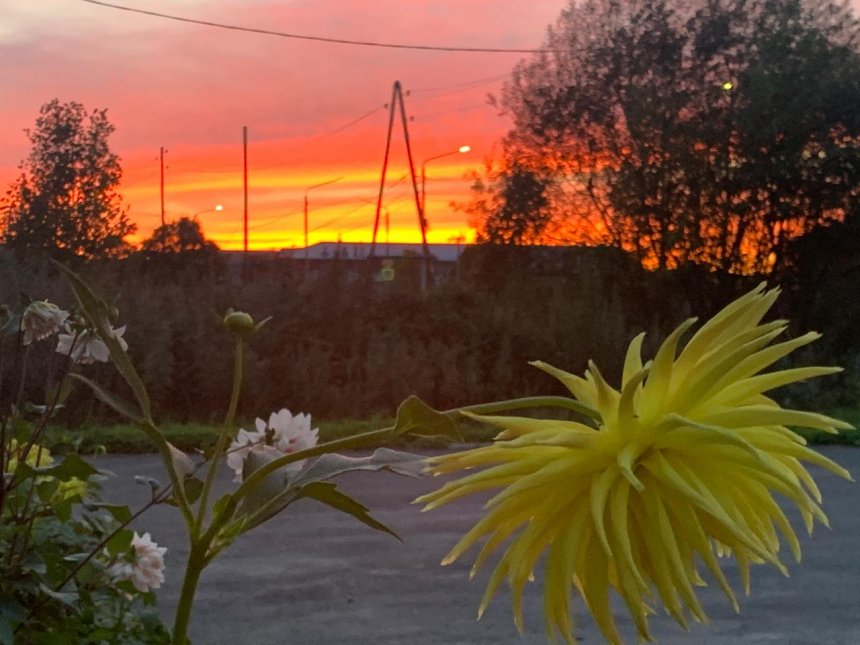 Сахалин. Весна. -  