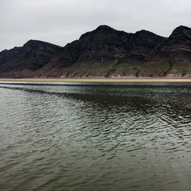 Тепсей - Ирина Карпавичус