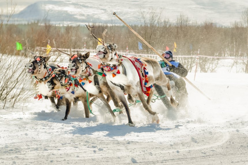 северный многоборец - Тарас Александрович