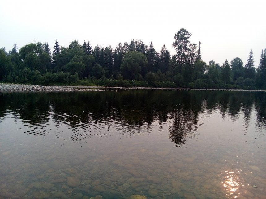 Безмятежность - Дарья