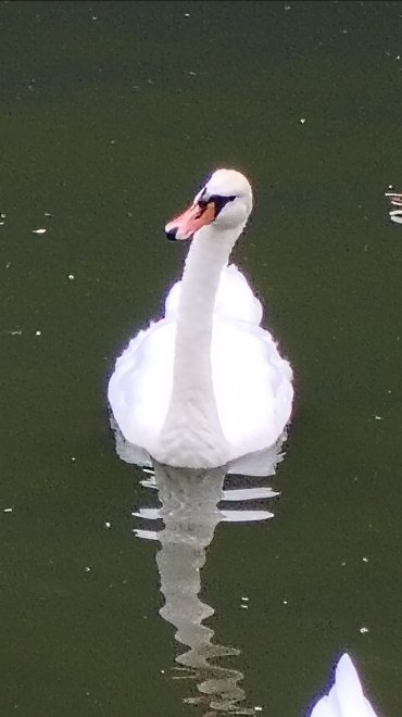 Наши путешествия - Лара (1/6)