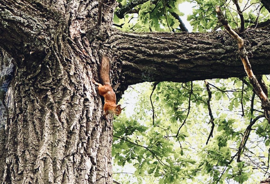 Ахунская сказка - Екатерина Погодина