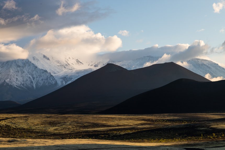 Скромный Толбачик - Ольга Нецеля