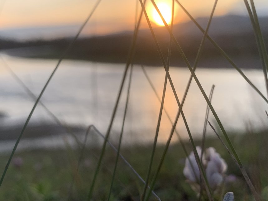 Родина моя -  