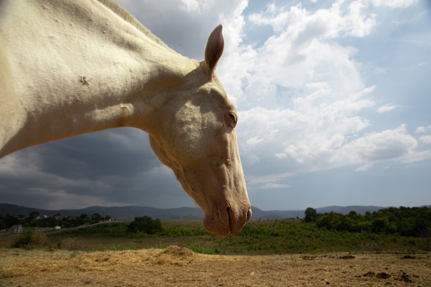 инопланетянин - Оксана