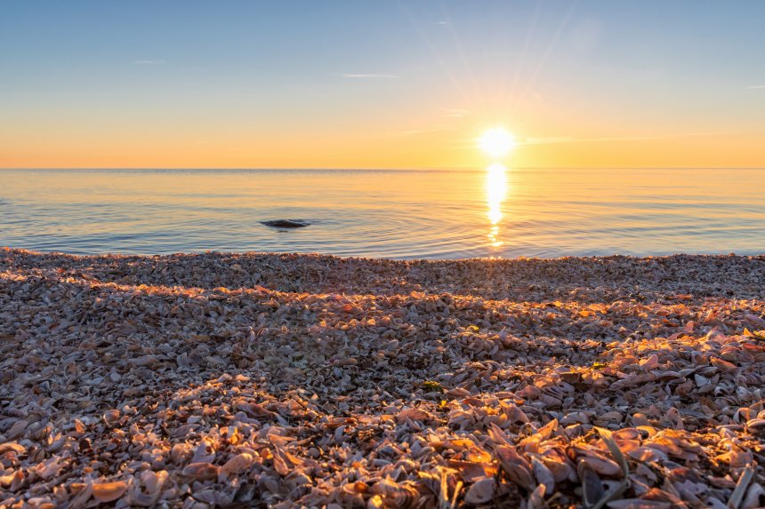 Чудское озеро - Виктор