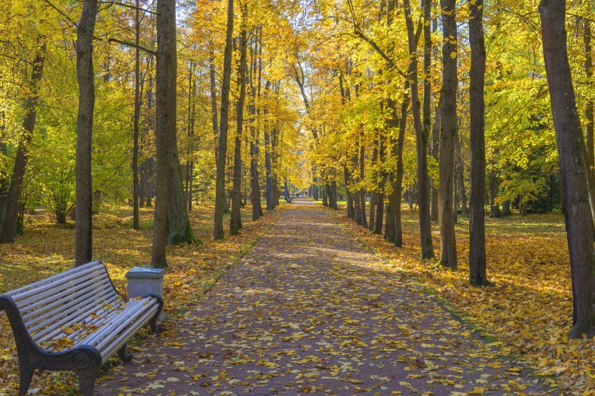 Унылая пора очей очарования - Александр Тесаков
