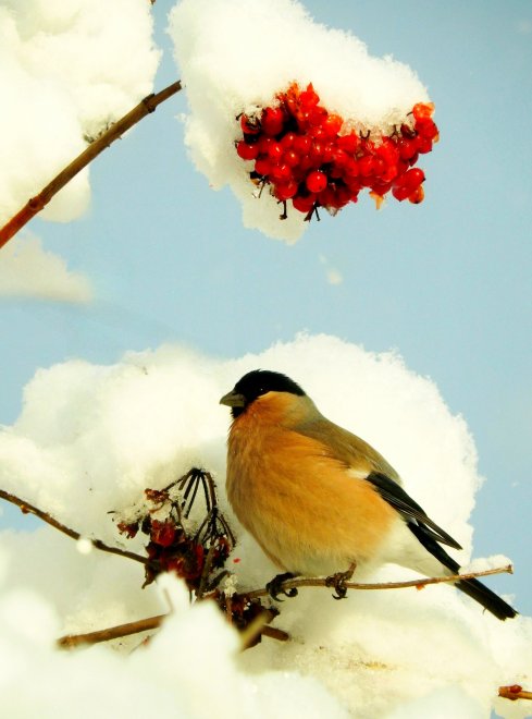 Обеденный перерыв -  