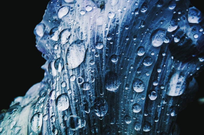 Хрустальная свежесть - Софья