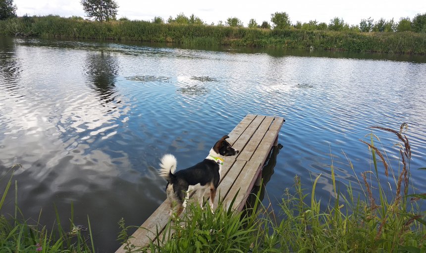 на охоте - Павел Сухов