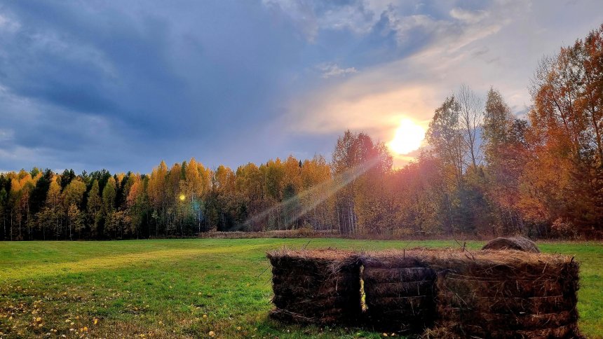 Красота осени в лучах уходящего лета - Татьяна