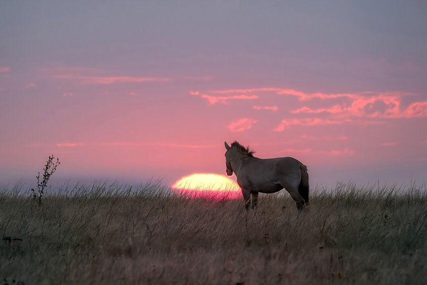 Рождение нового дня - Михаил Ездаков