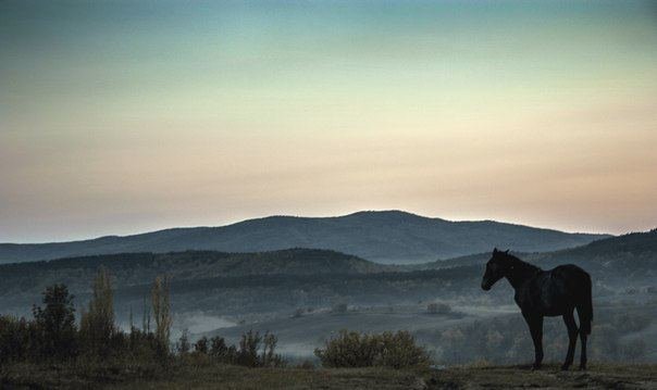 Рассвет. Бахчисарай - Диана