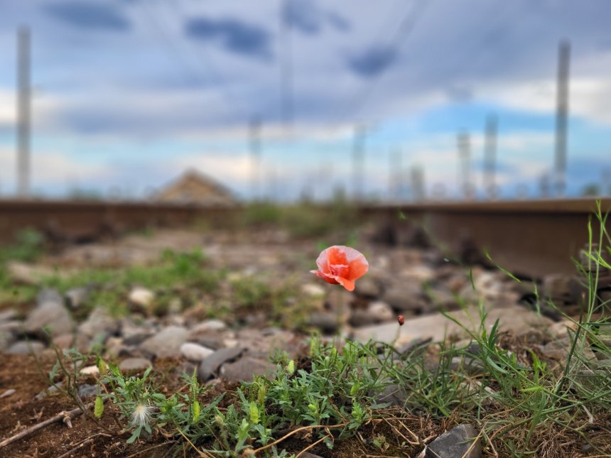 Жить - Булат