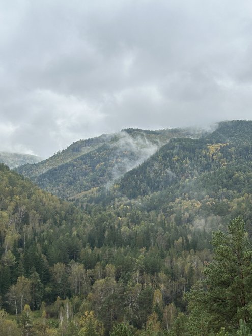 Туман над горой - Василий