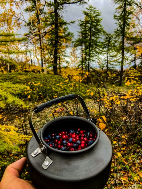 Поход, туда, обратно и назад!!! - Григорий Филин (1/7)