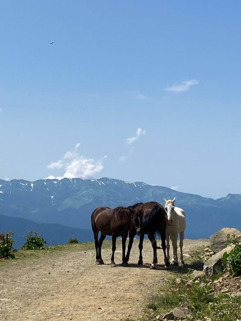 Непокорные - Сергей