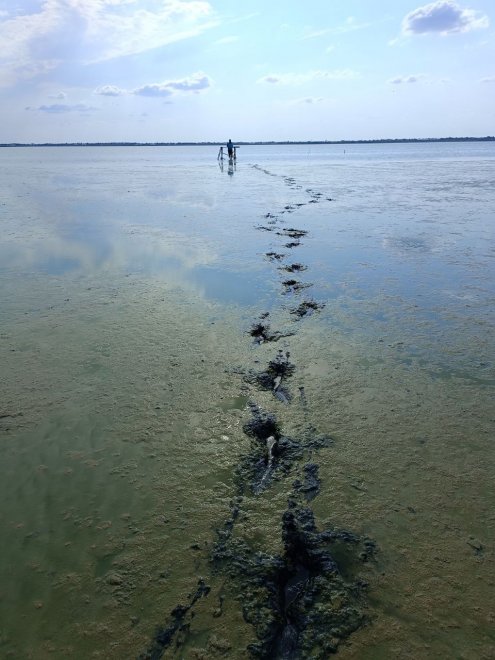 Экологическая катастрофа -  