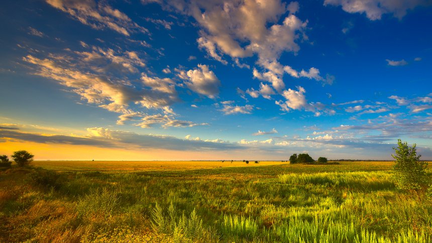 Донская степь на рассвете - Александр Соболев