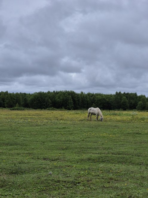 Кайныран - Наталья
