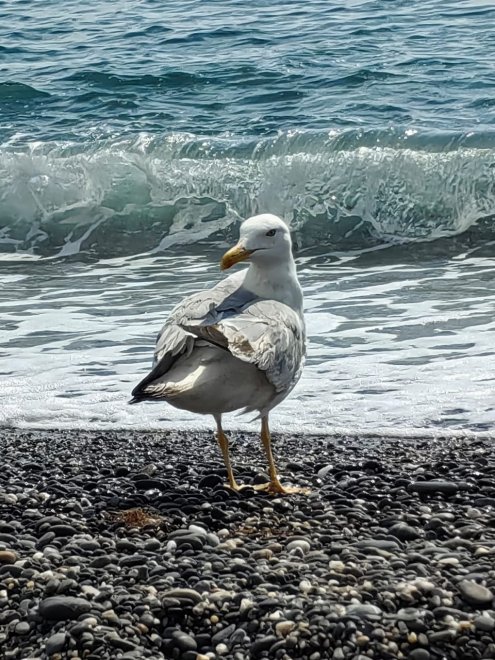 Путешествие по Крыму 2025 -   (1/6)