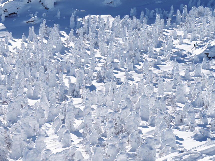 Снежное войско -  