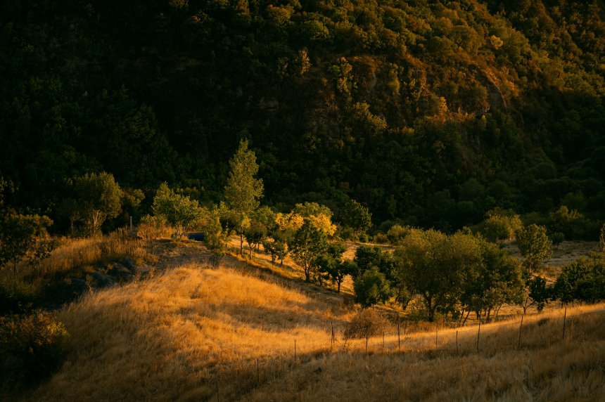 Красота Армении - Анна