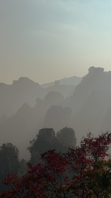 Красота Пандоры -   (1/5)