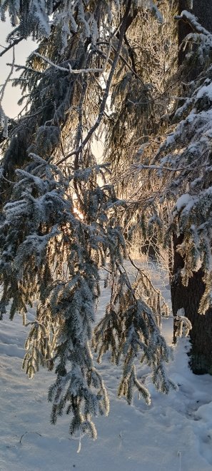 Волшебство зимних красок - Алексей