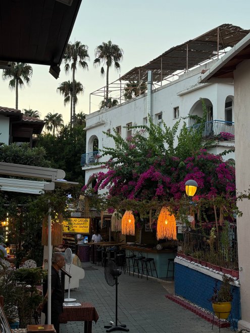 Турция -   (1/4)