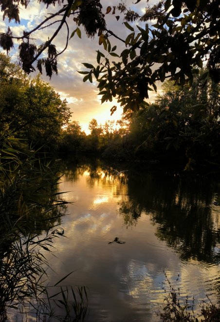 Закат на озере - Денис