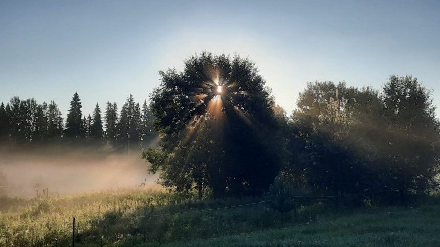Утро в деревне -  